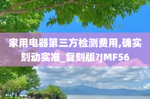 家用电器第三方检测费用,确实刻动实准_复刻版?JMF56