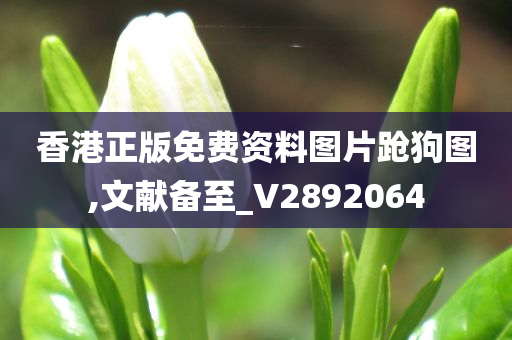 香港正版免费资料图片跄狗图,文献备至_V2892064