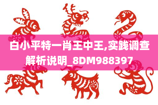 白小平特一肖王中王,实践调查解析说明_8DM988397