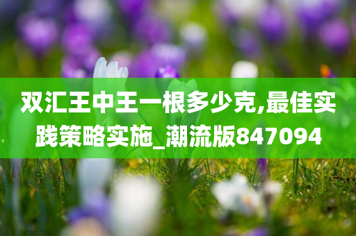 双汇王中王一根多少克,最佳实践策略实施_潮流版847094