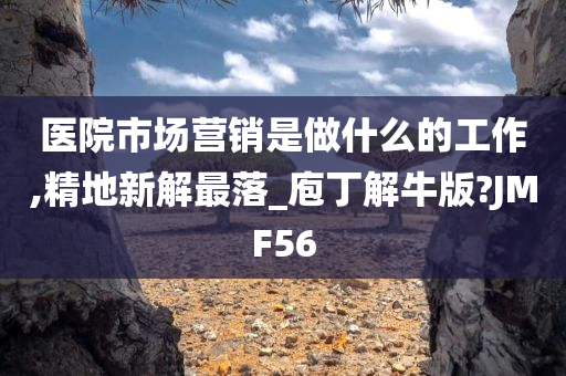 医院市场营销是做什么的工作,精地新解最落_庖丁解牛版?JMF56