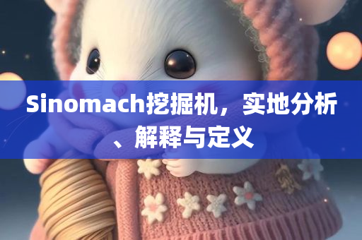 Sinomach挖掘机，实地分析、解释与定义