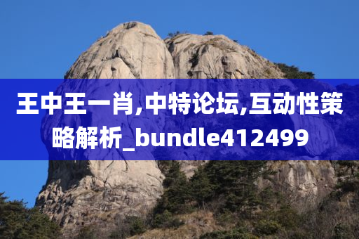 王中王一肖,中特论坛,互动性策略解析_bundle412499