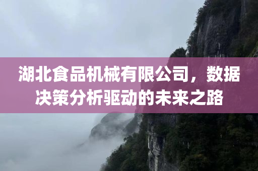 湖北食品机械有限公司，数据决策分析驱动的未来之路