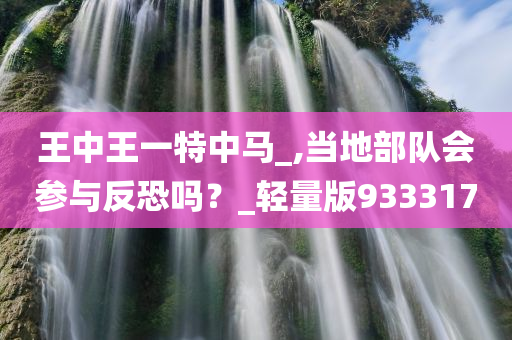 王中王一特中马_,当地部队会参与反恐吗？_轻量版933317