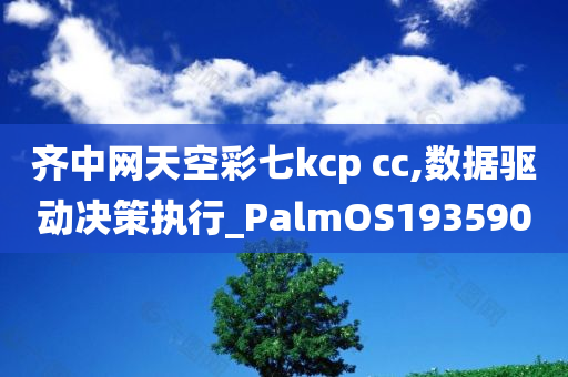 齐中网天空彩七kcp cc,数据驱动决策执行_PalmOS193590