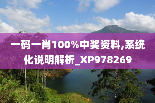 一码一肖100%中奖资料,系统化说明解析_XP978269