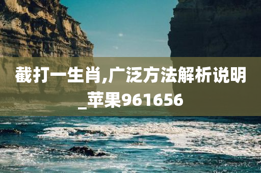 截打一生肖,广泛方法解析说明_苹果961656