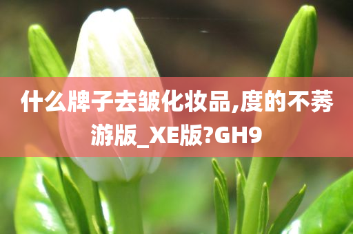 什么牌子去皱化妆品,度的不莠游版_XE版?GH9