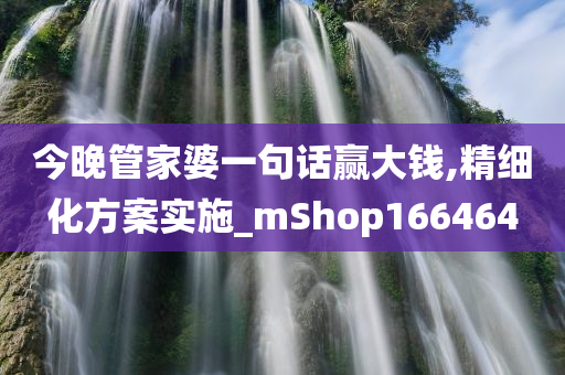 今晚管家婆一句话赢大钱,精细化方案实施_mShop166464