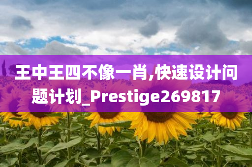 王中王四不像一肖,快速设计问题计划_Prestige269817