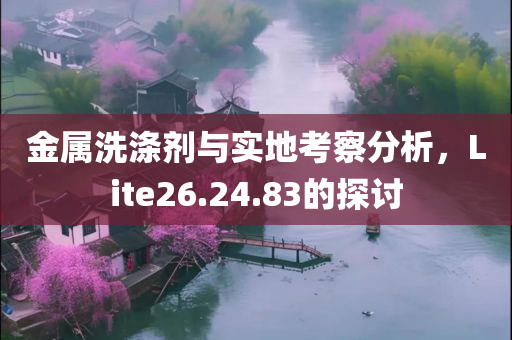 金属洗涤剂与实地考察分析，Lite26.24.83的探讨