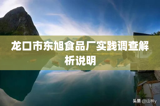 龙口市东旭食品厂实践调查解析说明