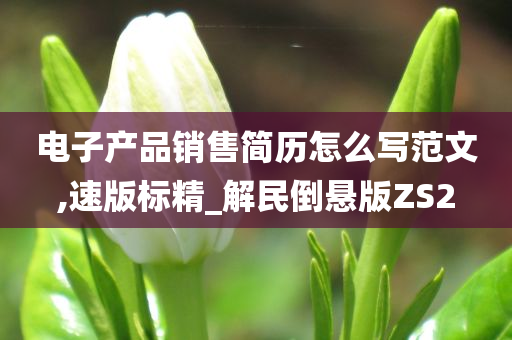 电子产品销售简历怎么写范文,速版标精_解民倒悬版ZS2