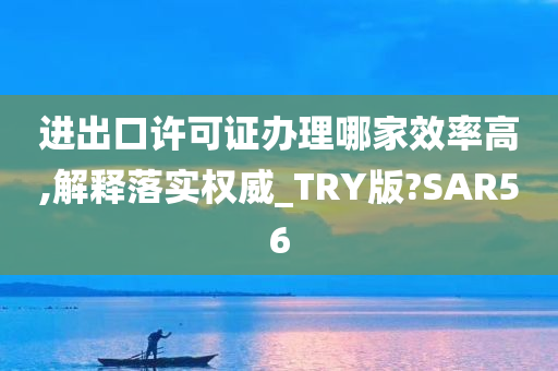 进出口许可证办理哪家效率高,解释落实权威_TRY版?SAR56