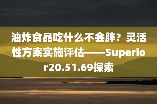 油炸食品吃什么不会胖？灵活性方案实施评估——Superior20.51.69探索