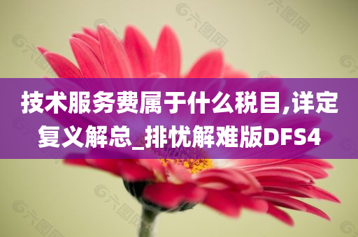 技术服务费属于什么税目,详定复义解总_排忧解难版DFS4