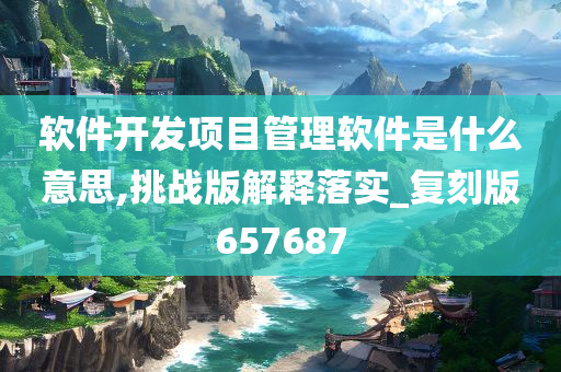 软件开发项目管理软件是什么意思,挑战版解释落实_复刻版657687