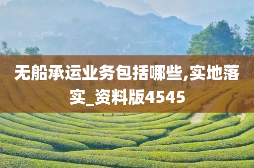 无船承运业务包括哪些,实地落实_资料版4545