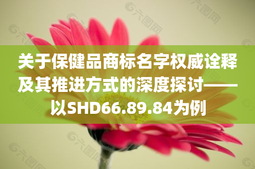 关于保健品商标名字权威诠释及其推进方式的深度探讨——以SHD66.89.84为例