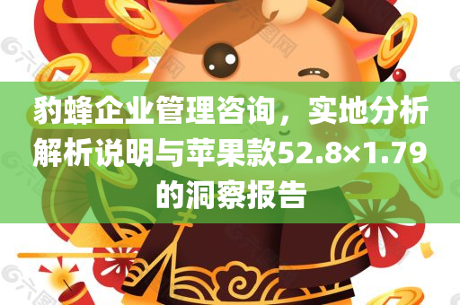 豹蜂企业管理咨询，实地分析解析说明与苹果款52.8×1.79的洞察报告