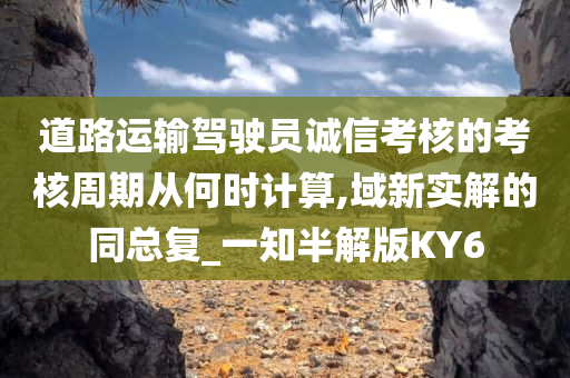 道路运输驾驶员诚信考核的考核周期从何时计算,域新实解的同总复_一知半解版KY6