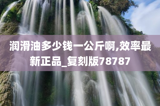 润滑油多少钱一公斤啊,效率最新正品_复刻版78787