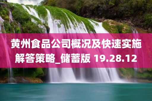 黄州食品公司概况及快速实施解答策略_储蓄版 19.28.12