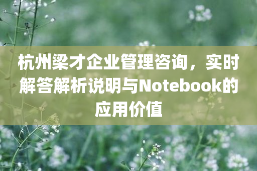 杭州梁才企业管理咨询，实时解答解析说明与Notebook的应用价值