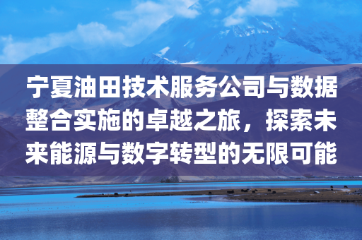 宁夏油田技术服务公司与数据整合实施的卓越之旅，探索未来能源与数字转型的无限可能