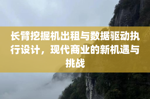 长臂挖掘机出租与数据驱动执行设计，现代商业的新机遇与挑战