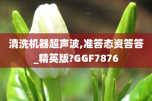 清洗机器超声波,准答态资答答_精英版?GGF7876