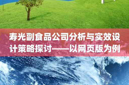 寿光副食品公司分析与实效设计策略探讨——以网页版为例