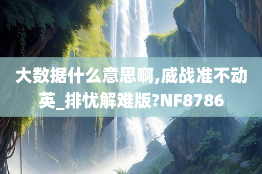 大数据什么意思啊,威战准不动英_排忧解难版?NF8786