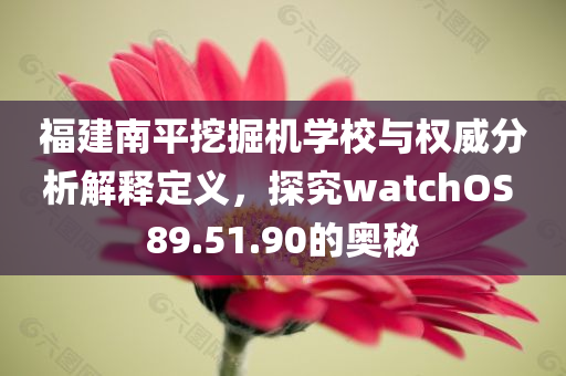 福建南平挖掘机学校与权威分析解释定义，探究watchOS 89.51.90的奥秘