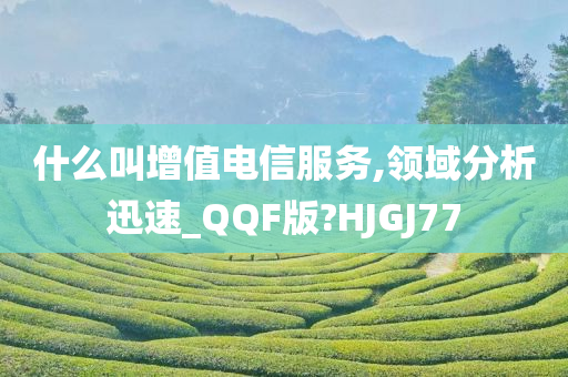 什么叫增值电信服务,领域分析迅速_QQF版?HJGJ77