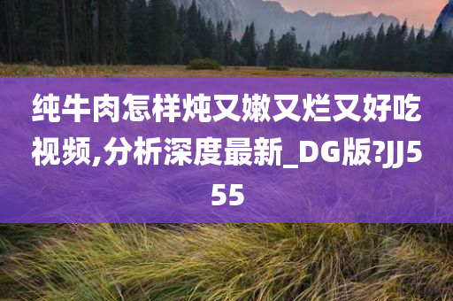 纯牛肉怎样炖又嫩又烂又好吃视频,分析深度最新_DG版?JJ555