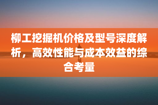 柳工挖掘机价格及型号深度解析，高效性能与成本效益的综合考量