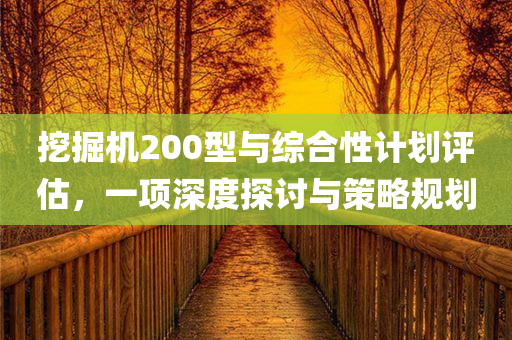 挖掘机200型与综合性计划评估，一项深度探讨与策略规划