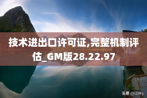 技术进出口许可证,完整机制评估_GM版28.22.97