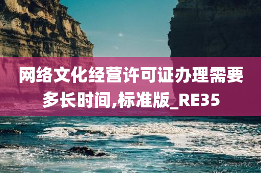 网络文化经营许可证办理需要多长时间,标准版_RE35