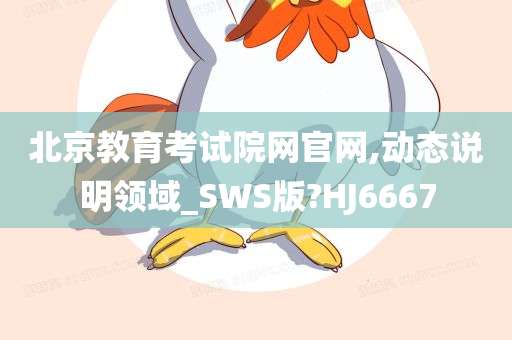 北京教育考试院网官网,动态说明领域_SWS版?HJ6667