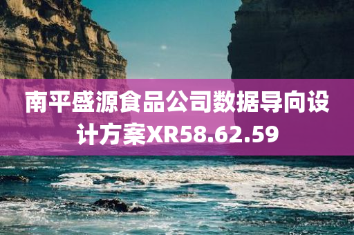 南平盛源食品公司数据导向设计方案XR58.62.59